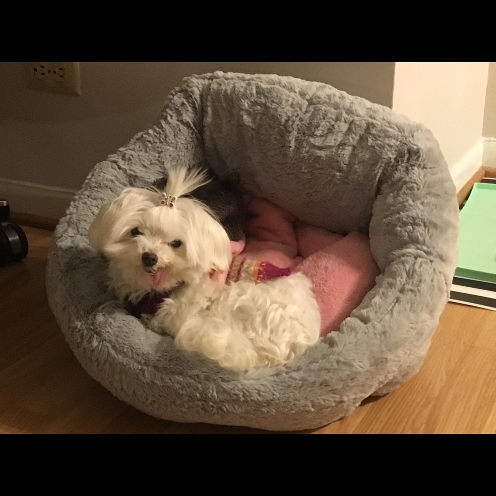 Meet your Posher, Kristie